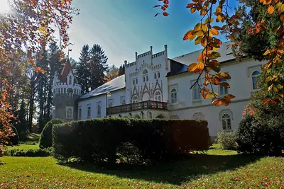 비소치나 Herálec 마을의 역사적인 성 Chateau Herálec